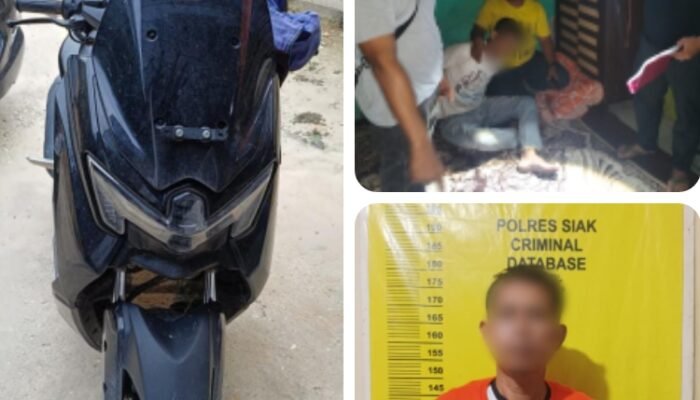 Sadis! Wanita Ditemukan Tewas di Rumahnya, Diduga Pelaku Dibekuk Tim Gabungan Polres Siak