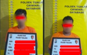 Bawa 12 Tandan Sawit Curian, Dua Pria Diringkus Polsek Tualang