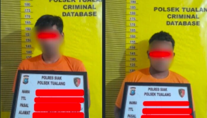 Bawa 12 Tandan Sawit Curian, Dua Pria Diringkus Polsek Tualang