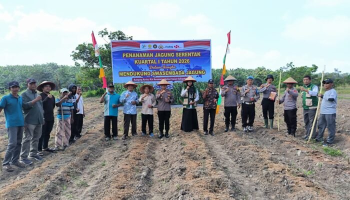 Polsek Kerinci Kanan Tanam Jagung 1 Hektare, Dukung Program Ketahanan Pangan Nasional