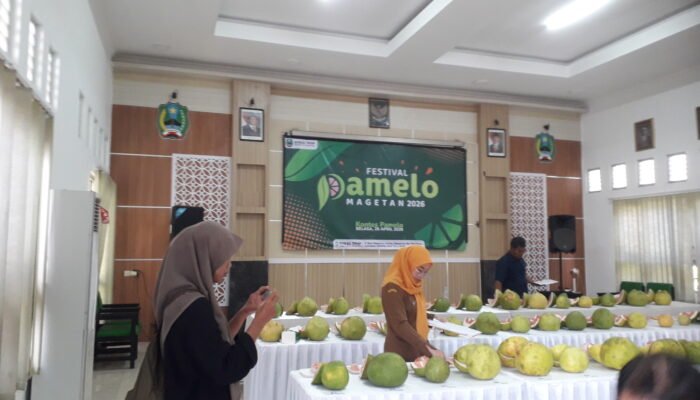 Alsintan Combine Diserahkan, Kontes Pamelo Magetan 2026 Jadi Ajang Dongkrak Kualitas dan Promosi