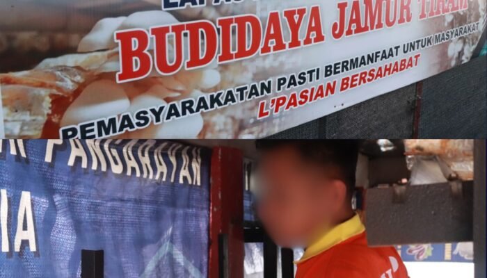 Lapas Pasir Pangarayan Hadirkan Kemandirian Warga Binaan Melalui Budidaya Jamur Tiram