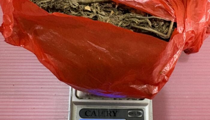 Peredaran Ganja Kering Terbongkar, Polsek Rambah Hilir Amankan Tersangka