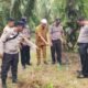 Patroli Skala Besar, Polres Rokan Hulu Sasar Titik Rawan Narkoba hingga Kebun Sawit