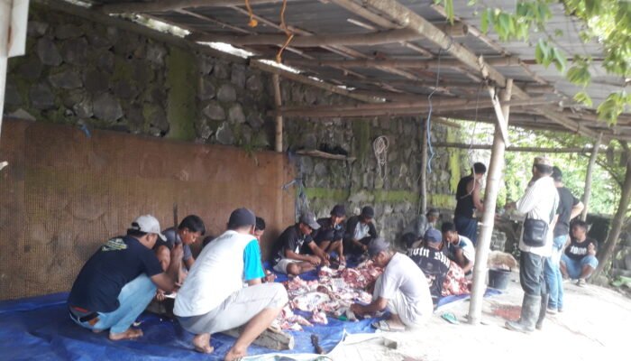 Semangat Berbagi Idul Adha di Temboro, Basori Anto Salurkan Hewan Kurban Demi Kebersamaan Warga