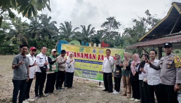 Polsek Rokan IV Koto Wujudkan Ketahanan Pangan Lewat Penanaman Jagung