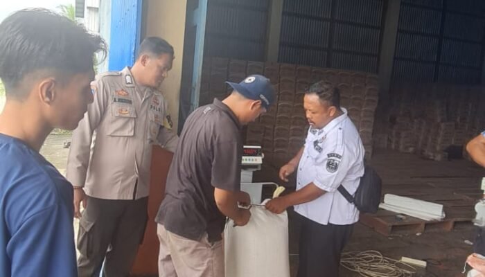 Polsek Tambusai Utara Kawal Penyerapan Jagung Petani, Wujud Nyata Polisi Cinta Petani