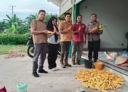 Panen Raya Jagung, Polsek Kunto Darussalam Perkuat Swasembada Pangan