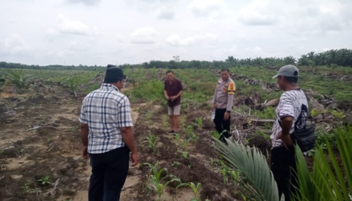 Polisi Cinta Petani, Polsek Kabun Perkuat Ketahanan Pangan Desa Kabun