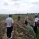 Polisi Cinta Petani, Polsek Kabun Perkuat Ketahanan Pangan Desa Kabun
