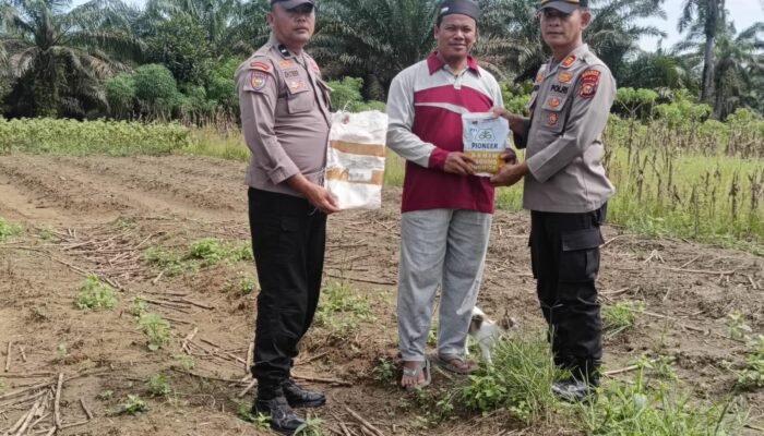 Polsek Kabun Dukung Swasembada Pangan Lewat Penanaman Jagung di Desa Giti