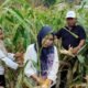 Polsek Tambusai Utara Hadir di Rantau Sakti, Bersatu Wujudkan Swasembada Pangan
