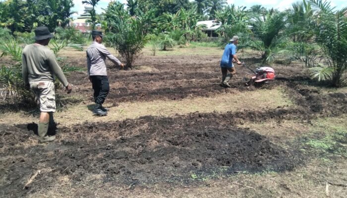 Polsek Tambusai Utara Turun Langsung Mengawal Ketahanan Pangan di Desa Pagar Mayang
