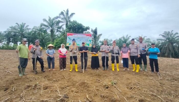 Polsek Rambah Samo Tanam Jagung Kuartal II 2026, Dukung Ketahanan Pangan Nasional di Marga Mulya