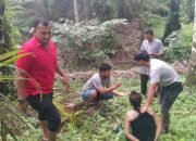Satresnarkoba Polres Pasaman Barat Ringkus Pengedar Sabu-Sabu dan Ganja Kering di Jorong Sidomulyo