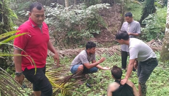 Satresnarkoba Polres Pasaman Barat Ringkus Pengedar Sabu-Sabu dan Ganja Kering di Jorong Sidomulyo