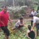Satresnarkoba Polres Pasaman Barat Ringkus Pengedar Sabu-Sabu dan Ganja Kering di Jorong Sidomulyo