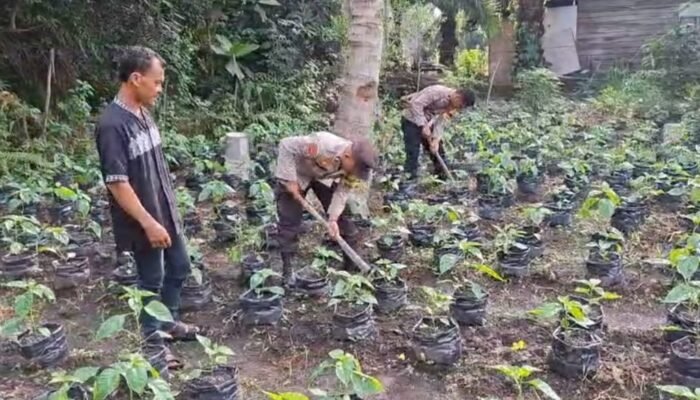 Polsek Sungai Sembilan Bersama Petani Perkuat Ketahanan Pangan Lewat Pekarangan Bergizi di Lubuk Gaung