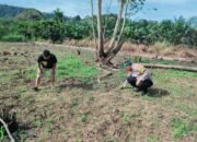 Polsek Rokan IV Koto Perkuat Swasembada Pangan di Cipang Kiri Hulu