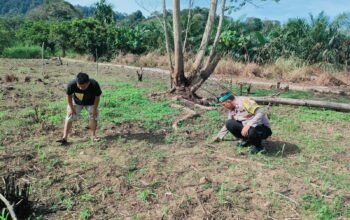 Polsek Rokan IV Koto Perkuat Swasembada Pangan di Cipang Kiri Hulu