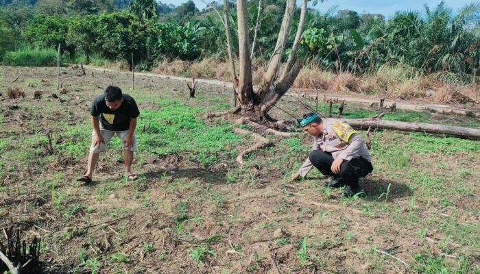 Polsek Rokan IV Koto Perkuat Swasembada Pangan di Cipang Kiri Hulu