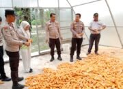 Polsek Tambusai Utara Dukung Petani Rantau Sakti