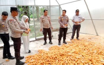 Polsek Tambusai Utara Dukung Petani Rantau Sakti