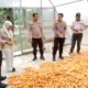 Polsek Tambusai Utara Dukung Petani Rantau Sakti