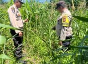 Polsek Kabun Optimalkan Polisi Cinta Petani dalam Mendukung Produksi Pangan
