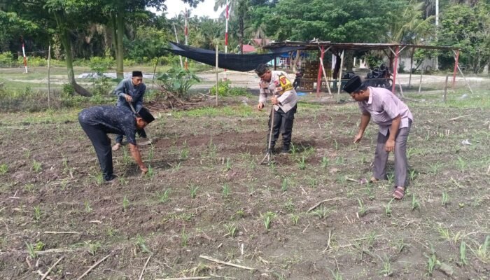 Polisi Cinta Petani Menguat, Polsek Kunto Darussalam Kawal Optimalisasi Pertumbuhan Jagung Hibrida di Desa Pasir Luhur