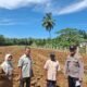 Gerak Nyata Polsek Rambah Hilir di Balik Persiapan Lahan Jagung Rambah Muda