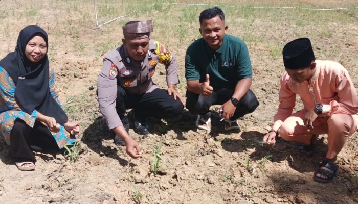 Polisi Cinta Petani, Polsek Rokan IV Koto Optimalkan Pendampingan dalam Penguatan Ketahanan Pangan Nasional di Desa Suligi