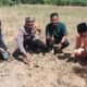 Polisi Cinta Petani, Polsek Rokan IV Koto Optimalkan Pendampingan dalam Penguatan Ketahanan Pangan Nasional di Desa Suligi