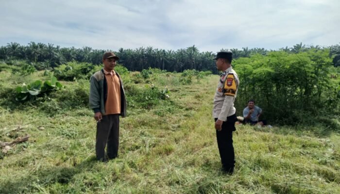 Ketahanan Pangan Nasional Diperkuat, Polsek Tambusai Utara Tanam Jagung di Lahan Desa