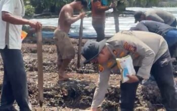 Komitmen Dukung Ketahanan Pangan, Polsek Sungai Sembilan Tanam Jagung Bersama Masyarakat
