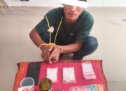 Dua Paket Besar Sabu Disita Polisi di Buluh Manis Bathin Solapan, Satu Pelaku Diamankan