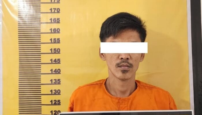 Polsek Mandau Tangkap Pemasok Sabu Hasil Pengembangan Kasus, Satu Tersangka dan Barang Bukti Diamankan
