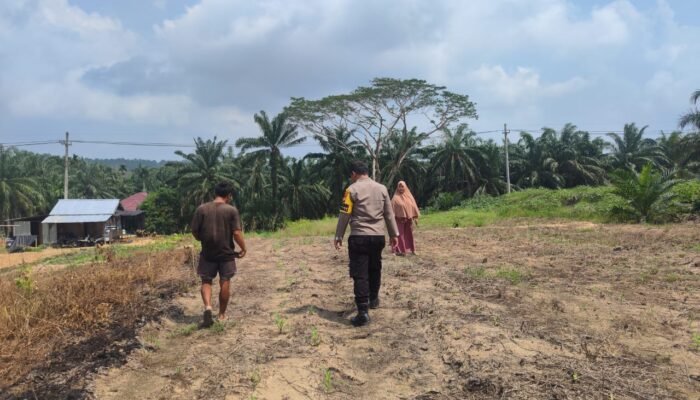 Antisipasi Cuaca Ekstrem, Polsek Rokan IV Koto Pastikan Lahan Jagung Lubuk Bendahara Tetap Produktif Menuju Swasembada Pangan Nasional