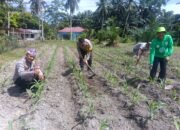 Dari Desa Pasir Luhur, Polsek Kunto Darussalam Perkuat Ketahanan Pangan Nasional Melalui Pemberdayaan Petani
