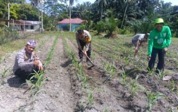 Dari Desa Pasir Luhur, Polsek Kunto Darussalam Perkuat Ketahanan Pangan Nasional Melalui Pemberdayaan Petani