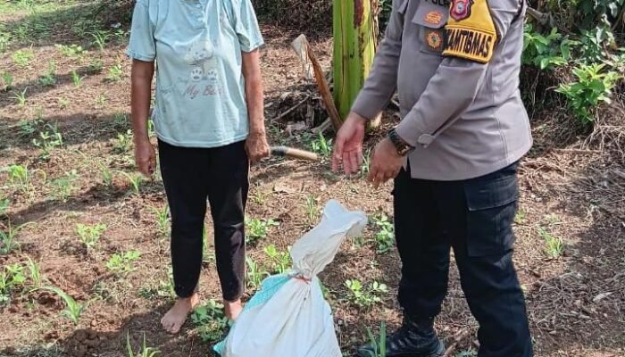 Polsek Tandun Perkuat Pendampingan Petani di Desa Tandun Barat, Dukung Swasembada Pangan Nasional