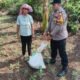 Polsek Tandun Perkuat Pendampingan Petani di Desa Tandun Barat, Dukung Swasembada Pangan Nasional