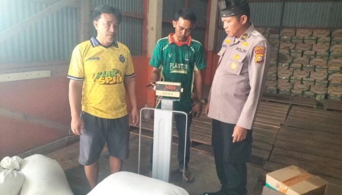 Polsek Tambusai Dampingi Penjualan 2,8 Ton Jagung ke Bulog, Perkuat Dukungan Swasembada Pangan Nasional