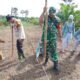 Polsek Rokan IV Koto Bersama Upika Tanam Jagung di Sei Kandis, Perkuat Dukungan terhadap Swasembada Pangan Nasional