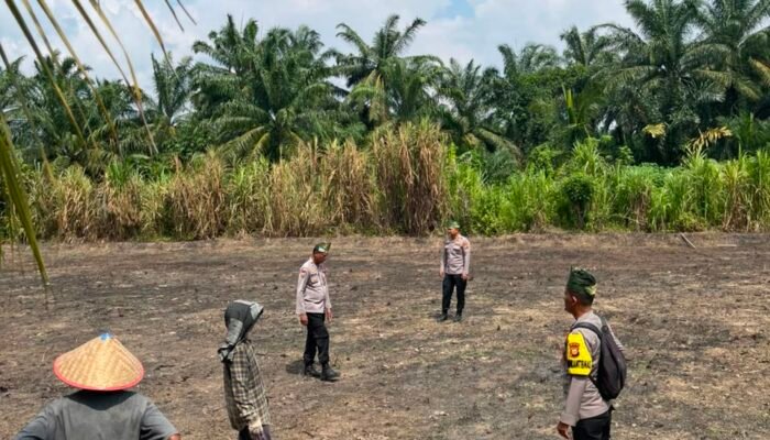 Polsek Rambah Cek Kesiapan Lahan Jagung Monokultur di Bangun Purba Timur Jaya, Optimalkan Lahan Produktif untuk Dukung Swasembada Pangan Nasional
