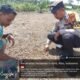 Polsek Rokan IV Koto Pantau Fase Awal Pertumbuhan Jagung di Desa Sei Kandis, Perkuat Swasembada Pangan Nasional