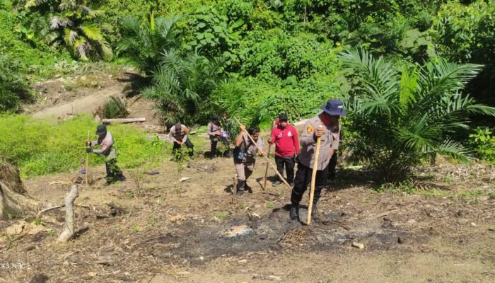 Polsek Rokan IV Koto Dorong Pemanfaatan Lahan Produktif Desa Tanjung Medan, Wujudkan Swasembada Pangan Nasional