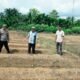 Polsek Tandun Cek Kesiapan Lahan Jagung di Desa Tapung Jaya, Matangkan Penanaman Serentak Kuartal III Dukung Ketahanan Pangan Nasional