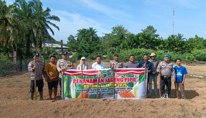 Polsek Tandun Dukung Peningkatan Produksi Jagung, Perkuat Ketahanan Pangan Nasional Desa Tapung Jaya