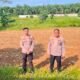 Dukung Ketahanan Pangan, Polres Rokan Hulu Cek Lahan 0,5 Hektare, Siapkan Penanaman Jagung Serentak Kuartal III